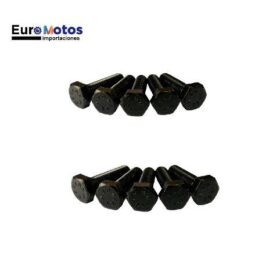 TORNILLO HEXA-10 M6 30MM