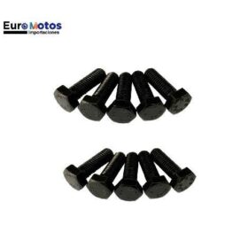 TORNILLO HEXA-12 M8 25MM