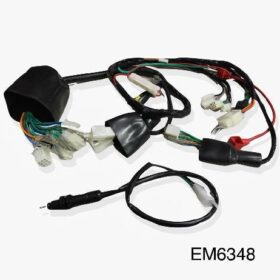 ARNES COMPLETO ITALIKA DM200