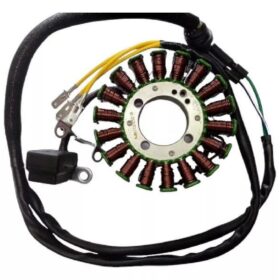 Estator Italika 250Z Ft250 Fiera 250 Tc250 Rt250 Dm250 250Z Verde