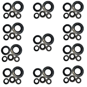 10 RETENES MOTOR YAMAHA FZ16 FAZER16