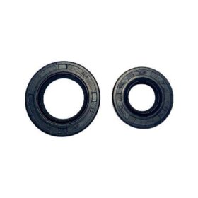 Retenes Motor Externos Italika 250Z 2 Pzas