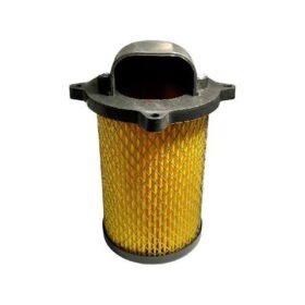 Filtro Aire Italika Dm150