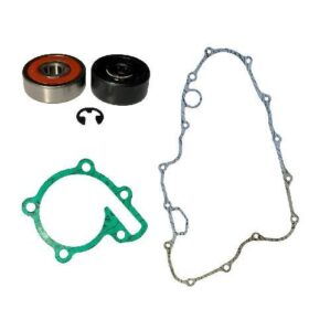 Retenes Bomba Agua Yamaha Yfz350 Banshee 1987-06 Taiwan