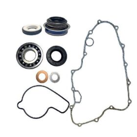 Retenes Bomba Agua Honda Trx450er 2006-14 Taiwan
