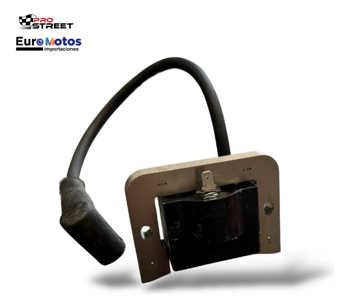 BOBINA GENERADOR LINCOLN RANGER 8 KOHLER CV624 CV620 CV640 CV675 CV680 CV730 - Imagen 4
