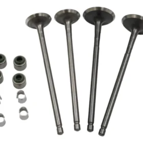 VALVULAS MOTOR SELLOS Y SEGUROS PULSAR 200NS 200AS 200RS WSTANDARD